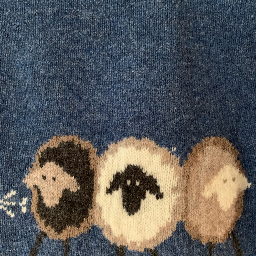 NWT Adorable Woolrich Blue Sweater